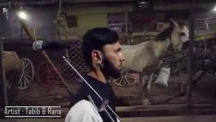 Gully boy rana & Tabib mahmud|Orjon-Theke-Boro-Shadhinota-Rokkha|New rab song bangla