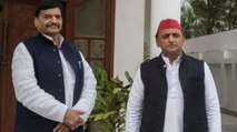 Akhilesh Yadav meets Shivpal Yadav ahead of elections