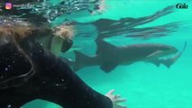 GALA VIDEO - Mariah Carey nage avec les requins