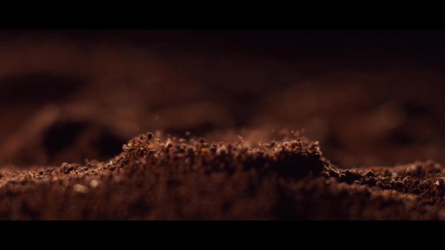 GALA VIDEO - Carte noire avec Rossy de Palma