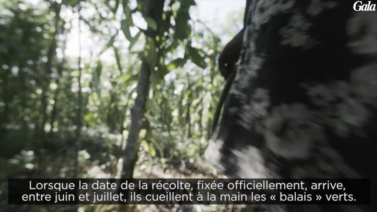 GALA VIDEO - Mugler et la vanille de Madagascar...
