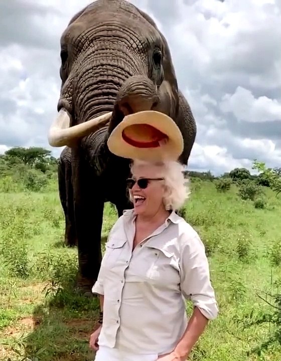 Un éléphant fait une blague à une femme en lui volant son chapeau !