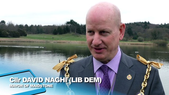 Kent celebrates 400 years of the Maidstone Mayor owning the town's swans