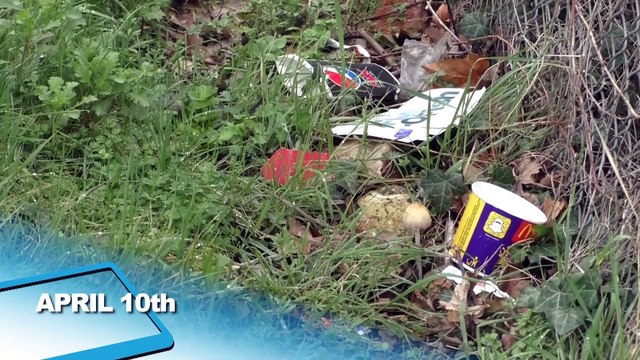 Kent Tonight - Monday 16th April 2018