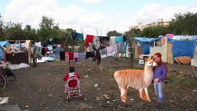 Galafr- Lamaoutai de Serge le lama