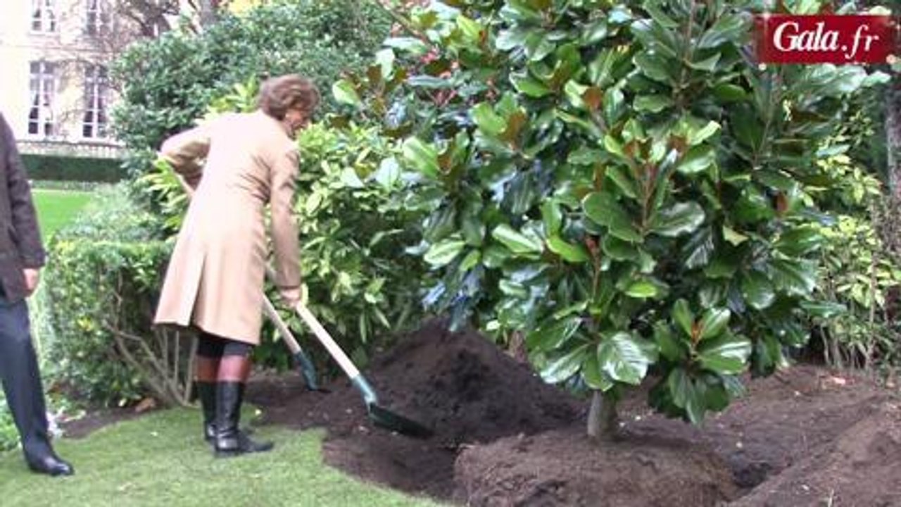 Ayrault arbre Matignon