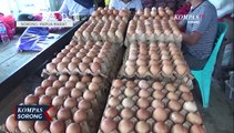 Harga Telur Ayam Di Sorong Mulai Naik Jelang Natal Tahun Baru