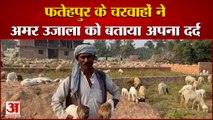 UP: Fatehpur | अमर उजाला ने की फतेहपुर के चरवाहों से बात | चरवाहों ने कहा समाज का नहीं हुआ उत्थान