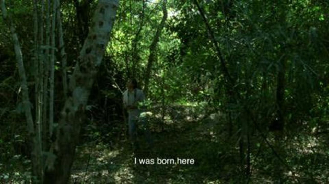 Vidéo- La bande-annonce de Oncle Boonmee