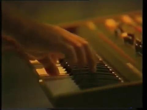 Les Bellamy Brothers: I said you had a beautiful body