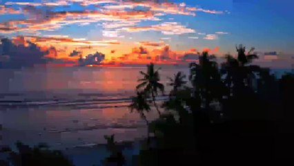 Relaxing Bird singing and Rain but it´s only 15 minutes