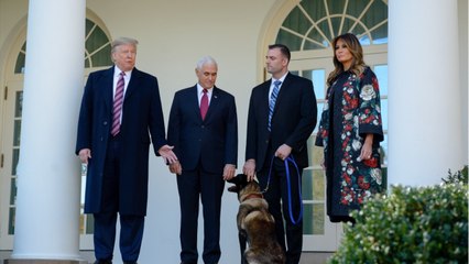 GALA VIDEO : Melania Trump : cette distance imposée à son staff à la Maison Blanche