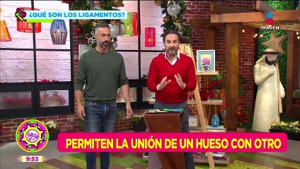 Secuelas de lastimarse un ligamento: Pepe Bandera