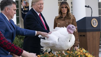 GALA VIDEO : Melania Trump envoyée au front pour rassurer les Américains