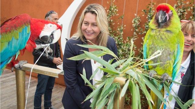 GALA VIDEO - Luana Belmondo : comment elle a appris qu'elle n'était plus la marraine de Jade Hallyday