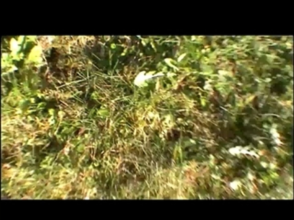 John Rambo Sweded (BA  Rambo 4)