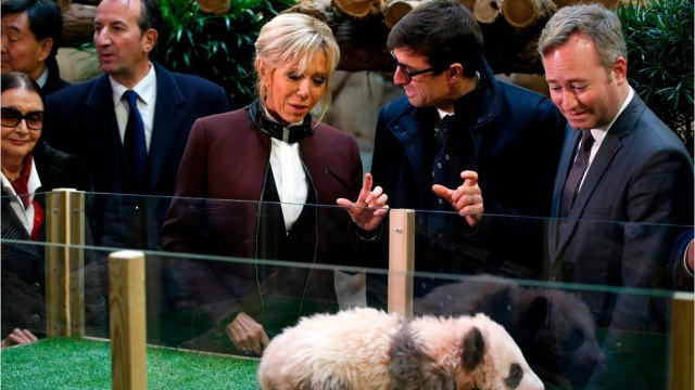 GALA VIDEO - Brigitte Macron : malgré la crise, la « diplomatie du panda continue