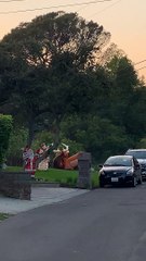 Wild Bear Loses to Giant Inflatable Reindeer