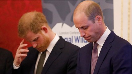 GALA VIDEO - Harry et William sont restés 6 mois sans se voir après le mariage avec Meghan : et Kate n’a rien trouvé à y redire