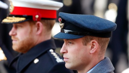 GALA VIDEO - William et Harry ne passent pas Noël ensemble, ils ne font plus d’effort