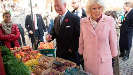 GALA VIDEO - Camilla Parker Bowles va mieux : la famille au complet autour de William et Harry