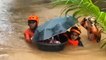 Baby rescued from typhoon flooding in Philippines