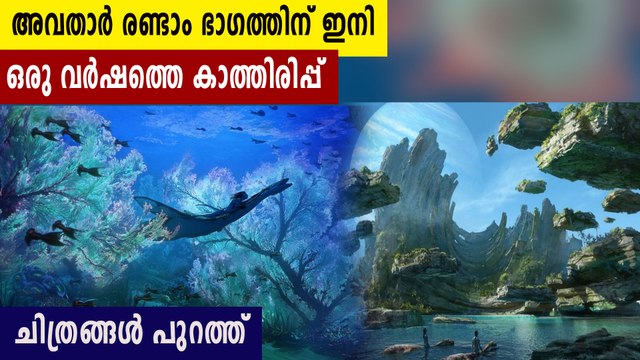 Avatar 2 Set Photos Reveal New Look at Sequel's Underwater Filming | FilmiBeat Malayalam