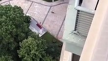 Homem usa tecnologia de ponta para recuperar cuecas que caíram para o vizinho