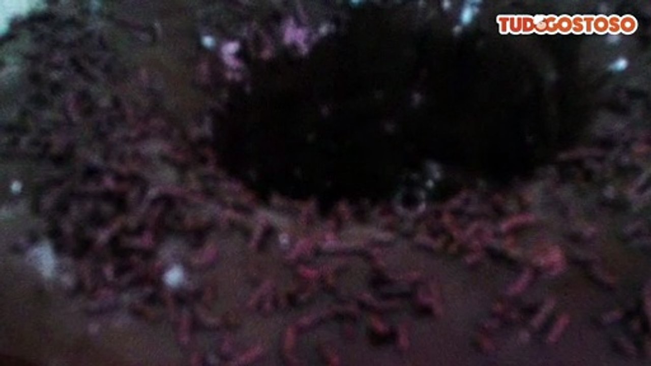 Bolo fácil de chocolate no liquidificador