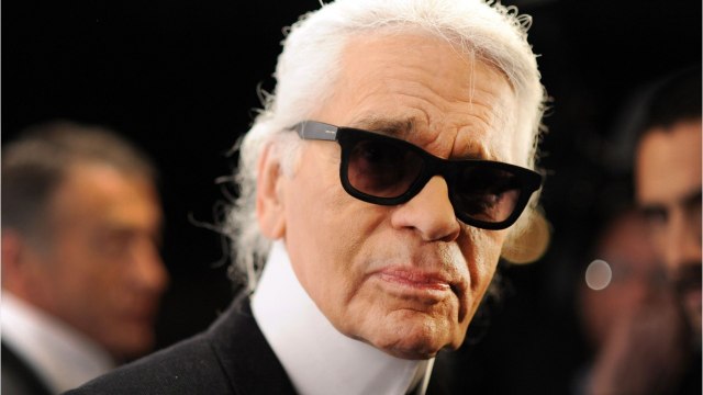 GALA VIDEO - Choupette : que devient la chatte de Karl Lagerfeld depuis la mort du créateur ?