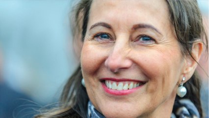 GALA VIDEO - Ségolène Royal dans le viseur de la justice : le tweet moqueur d'Alexandre Benalla