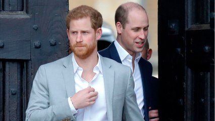 GALA VIDEO Pourquoi Harry n’a pas intérêt à se fâcher avec son frère William ?