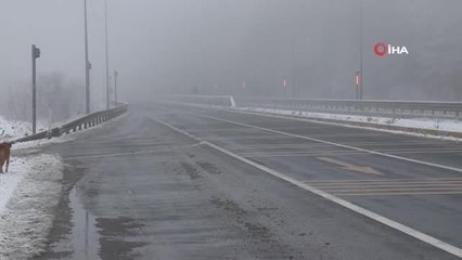 Bolu Dağı'nda kar yağışı ve sis etkili oluyor