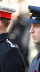 IGTV - Le Prince William Baisse Les Bras : "J'ai Toujours Soutenu Harry Mais Je Ne Peux Plus" (2)