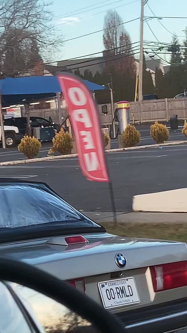 Pint-Sized Christmas Tree