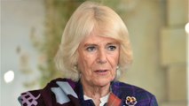 GALA VIDÉO - Camilla Parker-Bowles pas douée en cuisine : ces jurons dont se souvient encore son fils