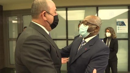 Bakan Çavuşoğlu, Kamerun ve Çadlı mevkidaşlarıyla görüştü