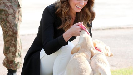 GALA VIDEO - Kate Middleton enceinte de son quatrième enfant ? La presse anglaise s’emballe