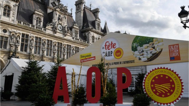 GALA VIDEO - Rachida Dati, la droite Louboutin : les couteaux sont déjà tirés pour les municipales à Paris