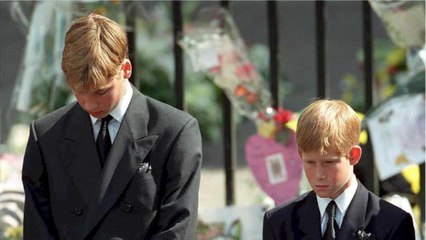 GALA VIDEO - Les princes Harry et William irrémédiablement fâchés ?