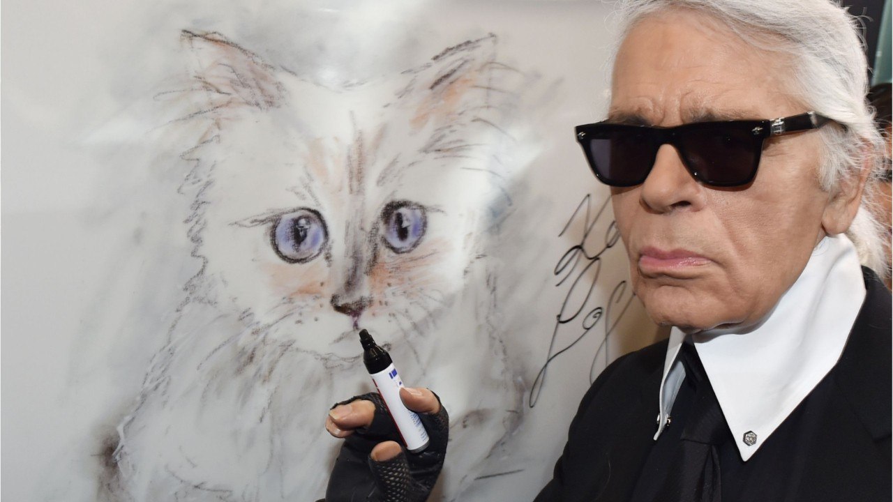 GALA VIDÉO - Choupette, la chatte de Karl Lagerfeld, signe un nouveau contrat