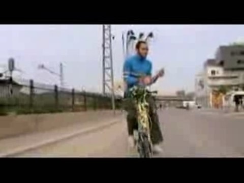 Facto delafe y las Flores Azules