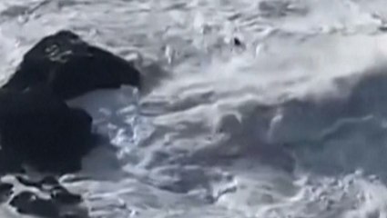 Surfer rescued from terrifying situation trapped amid rocks