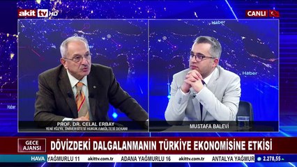 Dövizdeki dalgalanmanın Türkiye ekonomisine etkisi