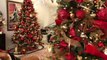 Florida woman decorates home with over 20 Christmas trees