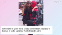 Zendaya : Nouveau clin d'oeil à son chéri Tom Holland, star de la saga Spider-Man