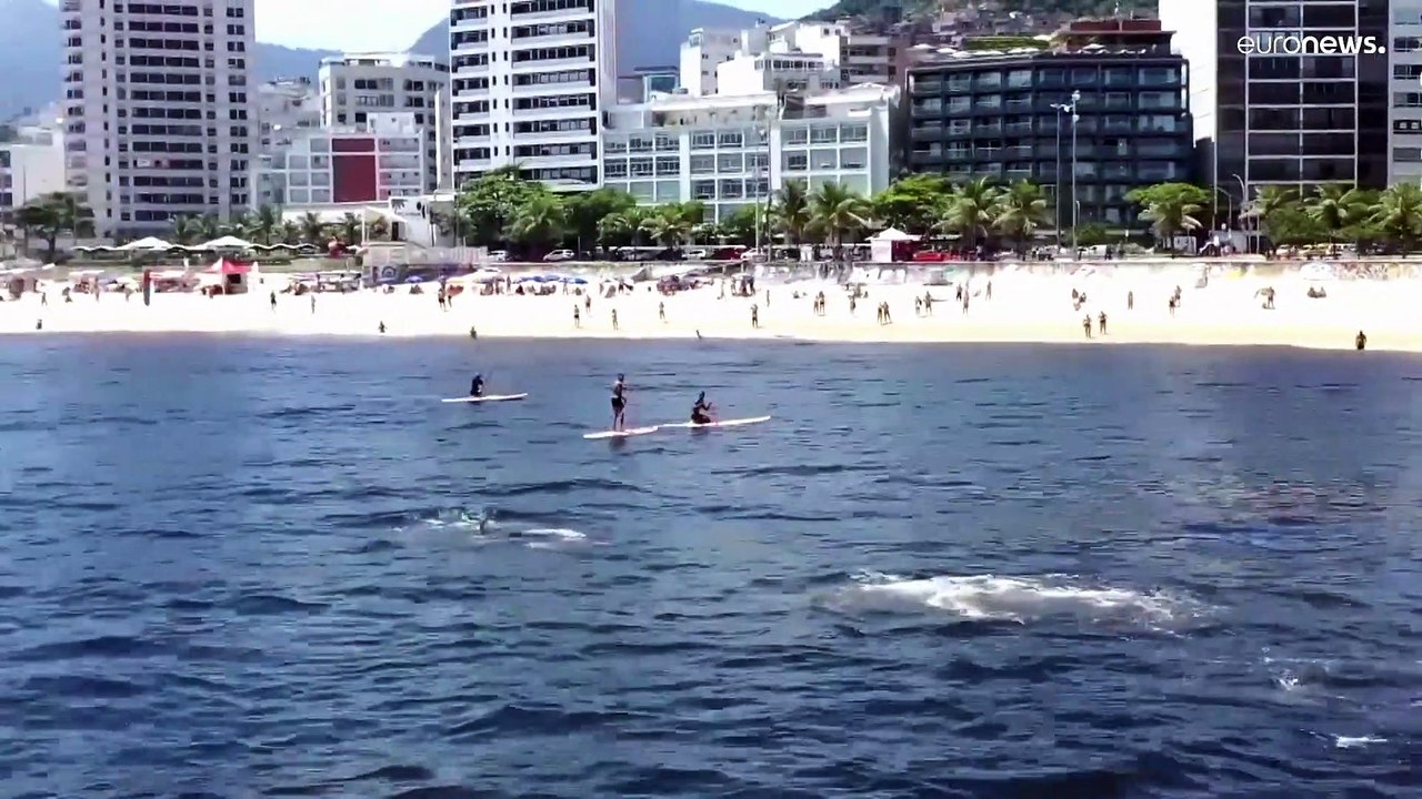 Die Orcas von Ipanema: Killerwale kommen ganz nah ran