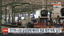 전기차 시장 급성장에 배터리 원료 흑연 부족 '심각'
