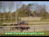 Horse Racing - Newmarket - The HQ of UK Horse Racing