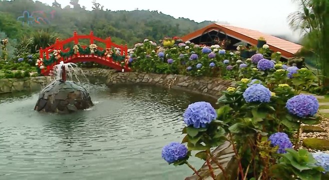 mqn-Realice tour de Hortensias y Eucalipto en el Refugio-161221